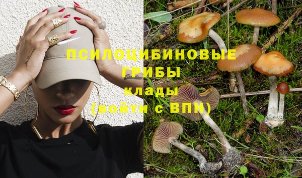 экстази Лагань