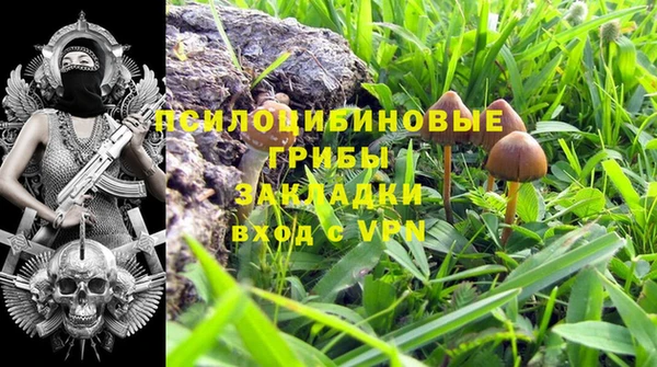 COCAINE Ладушкин
