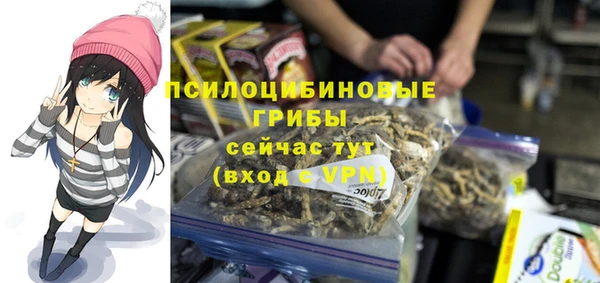 прущая мука Лабытнанги