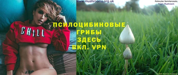 прущая мука Лабытнанги